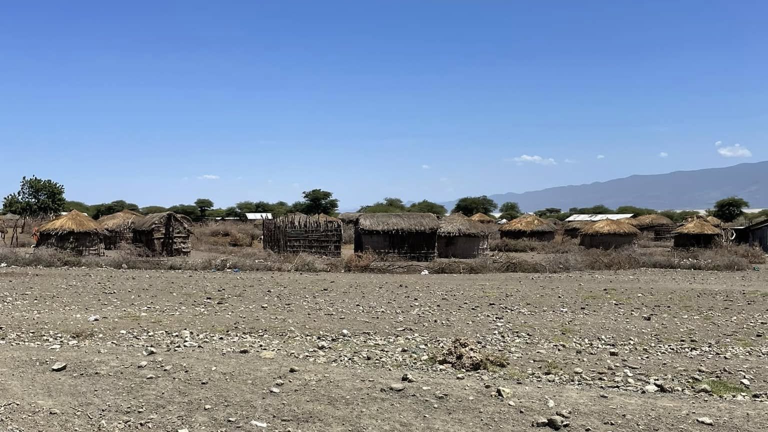 A Maasai boma of thatched huts on the open plains with mountains behind