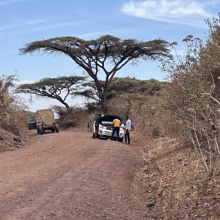 A dirt track running under acacia trees toward a distant village
